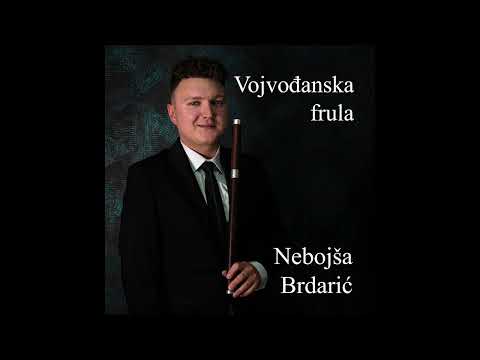 Nebojša Brdarić - Harem kolo - (Official Audio, 2022) HD