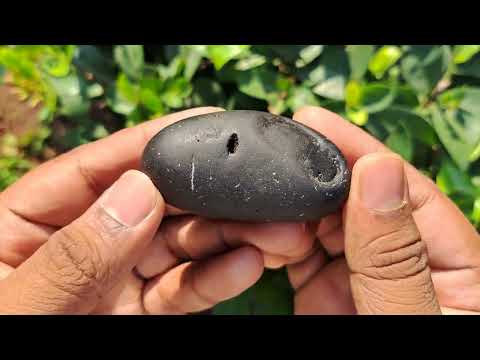 Vishnu Sacred Charan Shaligram for Divine Grace video