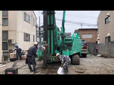 若い木を杭打ちするのは義務ですか？「はい」ですか、「いいえ」ですか？木を杭打ちする必要があるかどうかを評価するにはどうすればよいですか?  庭園