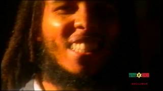 Ziggy Marley &amp; The Melody Makers - Works To Do