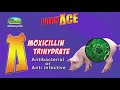 Alagang Magaling S10 Ep1 Porkchamp Product Launch