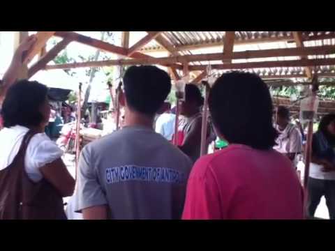 Matanao cobra healer