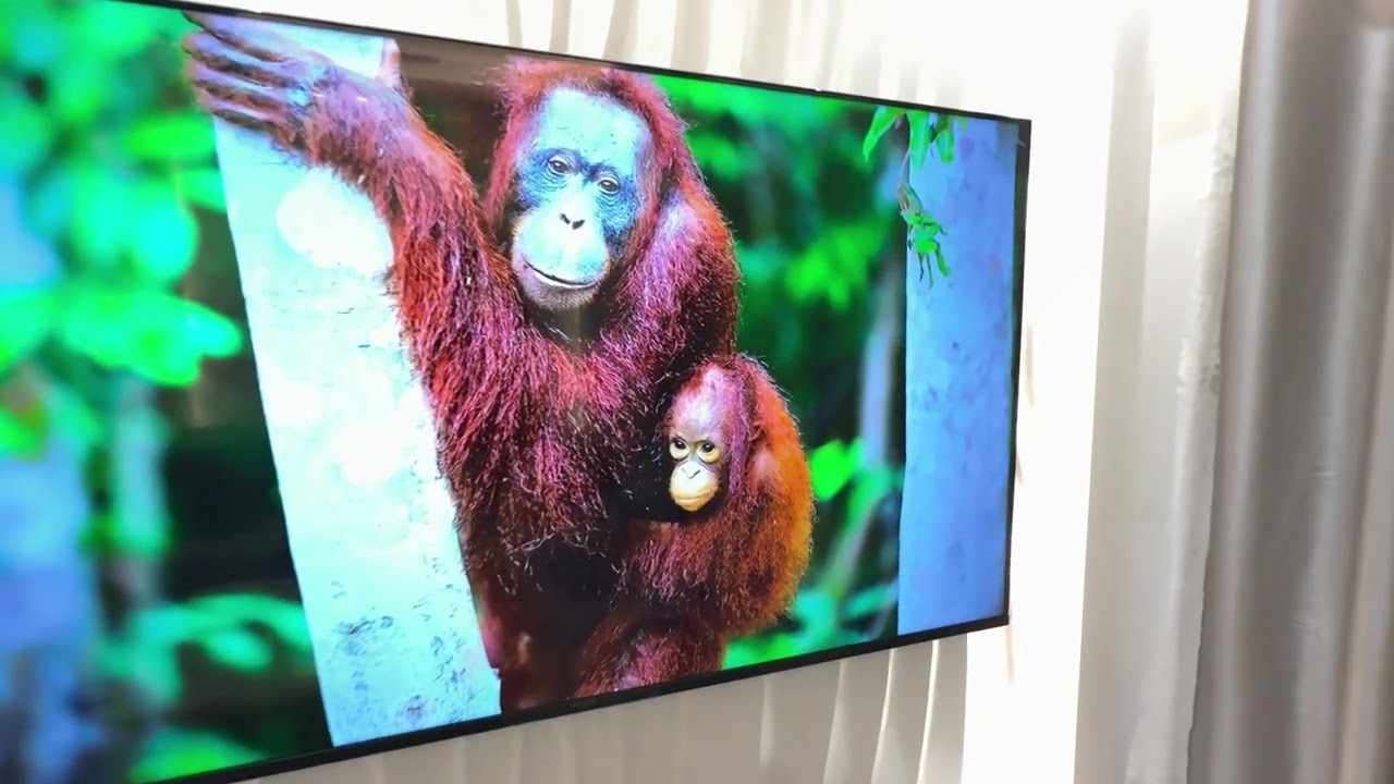 Modern Home Transformation