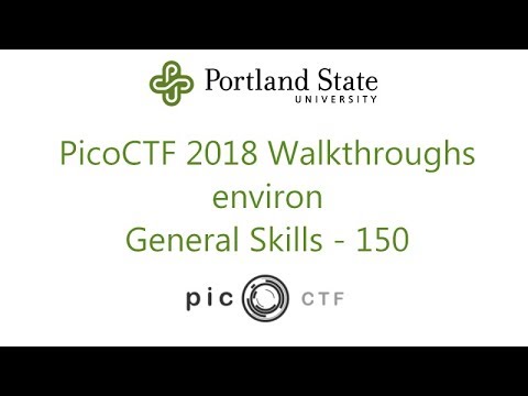 PicoCTF 2018 - environ