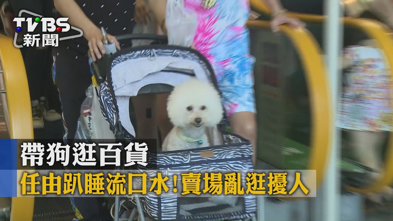 帶狗逛百貨 任由趴睡流口水!賣場亂逛擾人