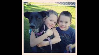 The Hardest Monday | We Lost Our Dog Baby