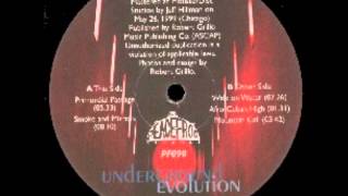 Underground Evolution - Resonance