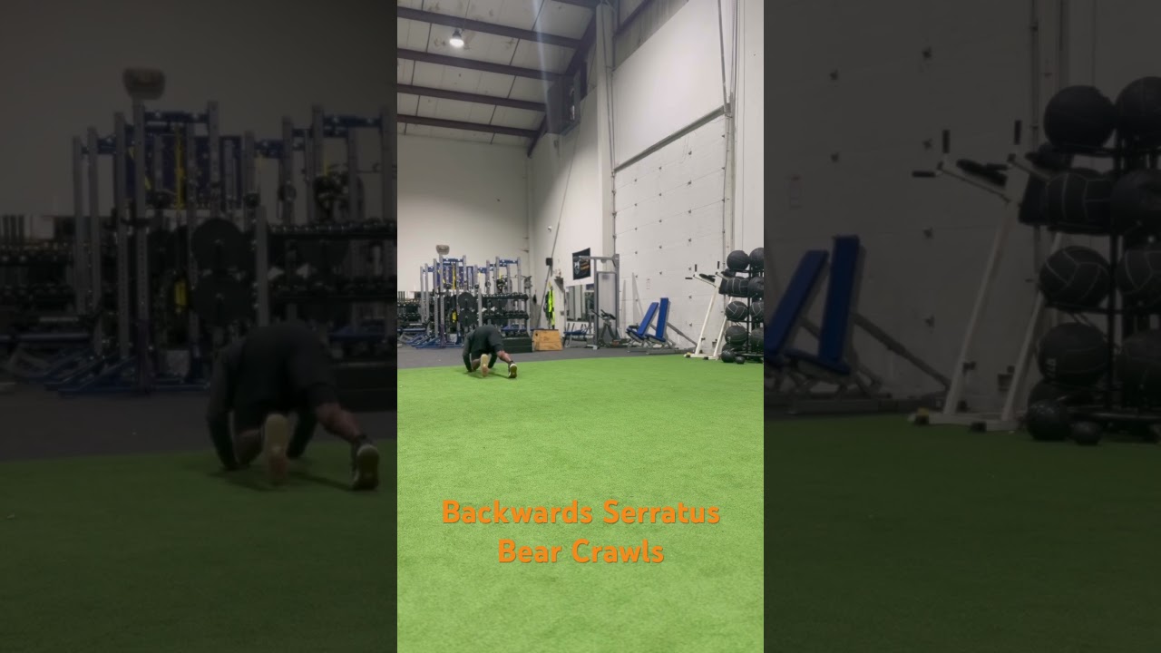 Backwards Serratus Bear Crawls