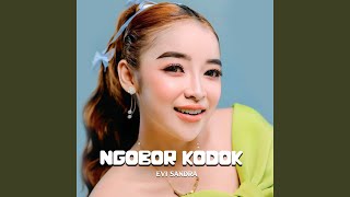 Download lagu Ngobor kodok mp3