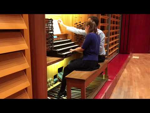 Reger: Symphonische Fantasia D-Moll (from Symphonische Fantasia und Fuge D-Moll, Op. 57)