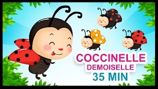 Coccinelle, demoiselle - Comptines pour les petits - Titounis