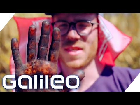 Brandrodung &amp; giftige Chemikalien! Wer gewinnt das Welt-Duell? | Stadt, Land, Welt | Galileo