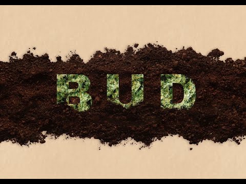 BUD