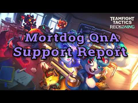 TfT Support Report: Mort Dog Question and Answer Stream Highlights