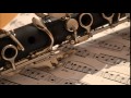 Maurice Ravel - Pavane for Dead Princess 
