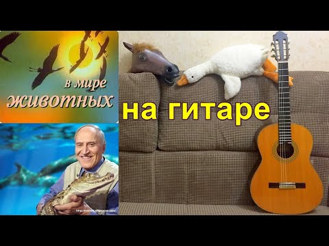 В мире животных (на гитаре) / из телепередачи Н.Дроздова