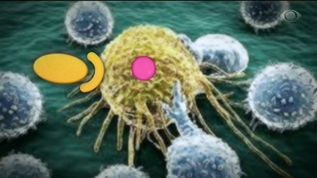 Câncer de próstata: Novo remédio pode adiar metástase