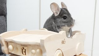 ついに長年の問題が解決したかもしれません