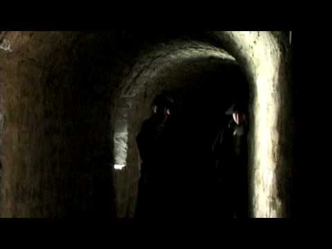 Carpe Diem - Nutze den Tag