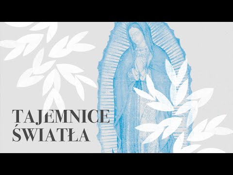 Rosary || Luminous Mysteries || Reflections - Fr. Adam Szustak OP