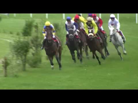 8  dostih Brno-Dvorska 20.5.2017