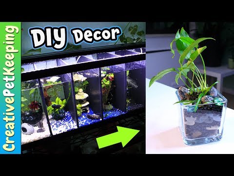 BETTA FISH tank decorations | DIY Aquarium Plant Planters