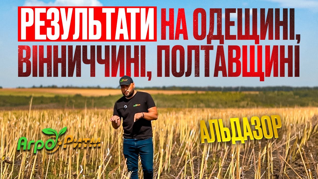 Насіння соняшнику Альдазор