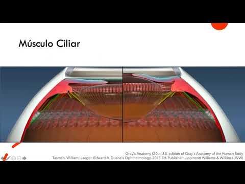 Anatomia del cuerpo ciliar y fisiologia del humor acuoso