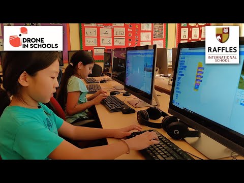 DIS Workshop - Raffles International School