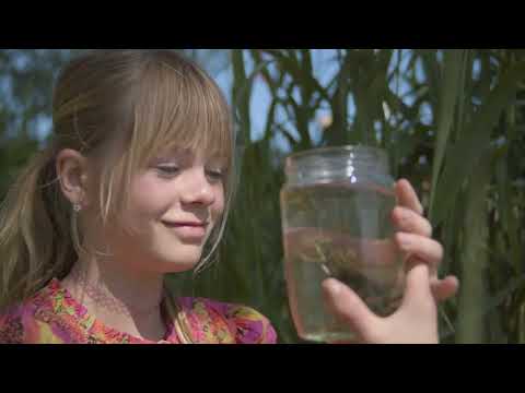 IJsselfilm 's-Heerenbroek - Film 'Herinneringen voor altijd'