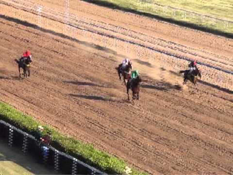 carrera 16 domingo 1 de febrero 2015