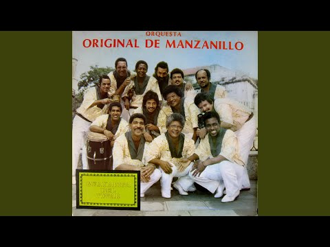 Trovador Guitarra En Mano Vas