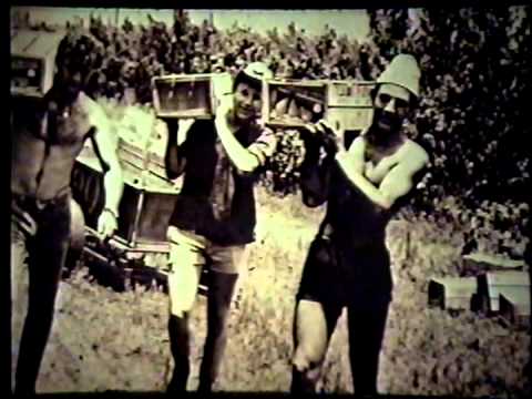 Historia Hejalutz Lamerjav Mexico