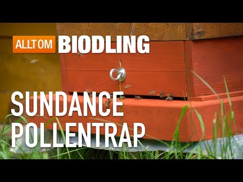 Sundance Pollentrap - Professionell pollenfälla - Bipollen - Biodling