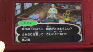 しょうの飛び森実況