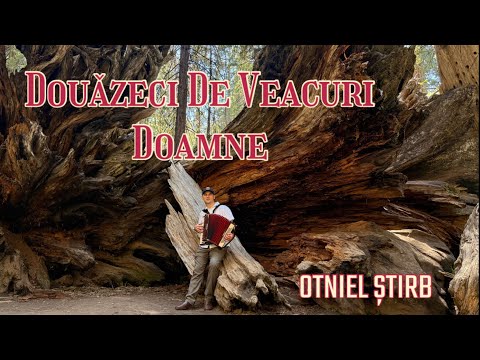 Douăzeci de veacuri Doamne - Otniel Știrb [Official Audio]
