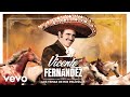 Vicente Fernández - Te Quiero Solo a Ti (Cover Audio)