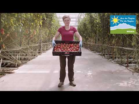 Gewächshaus - Migros