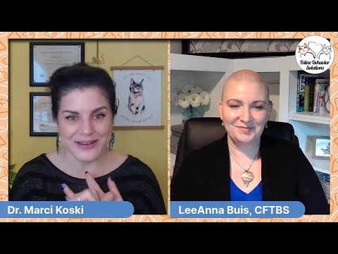 Learn about safe outdoor options for your cat with Dr. Marci Koski and LeeAnna Buis