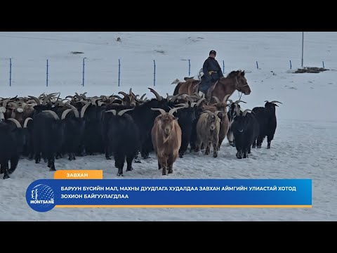 ЗАВХАН: Баруун бүсийн мал, махны дуудлага худалдаа Завхан аймгийн Улиастай хотод зохион байгуулагдлаа