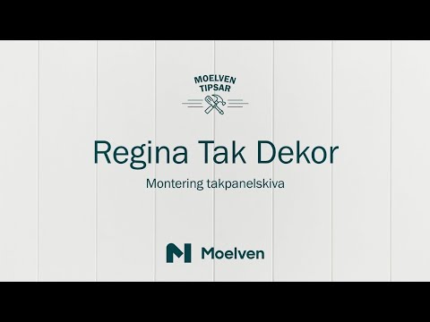 Panelskiva Moelven Regina Tak Linje Dekor Vit S 0500-N 4 st/frp