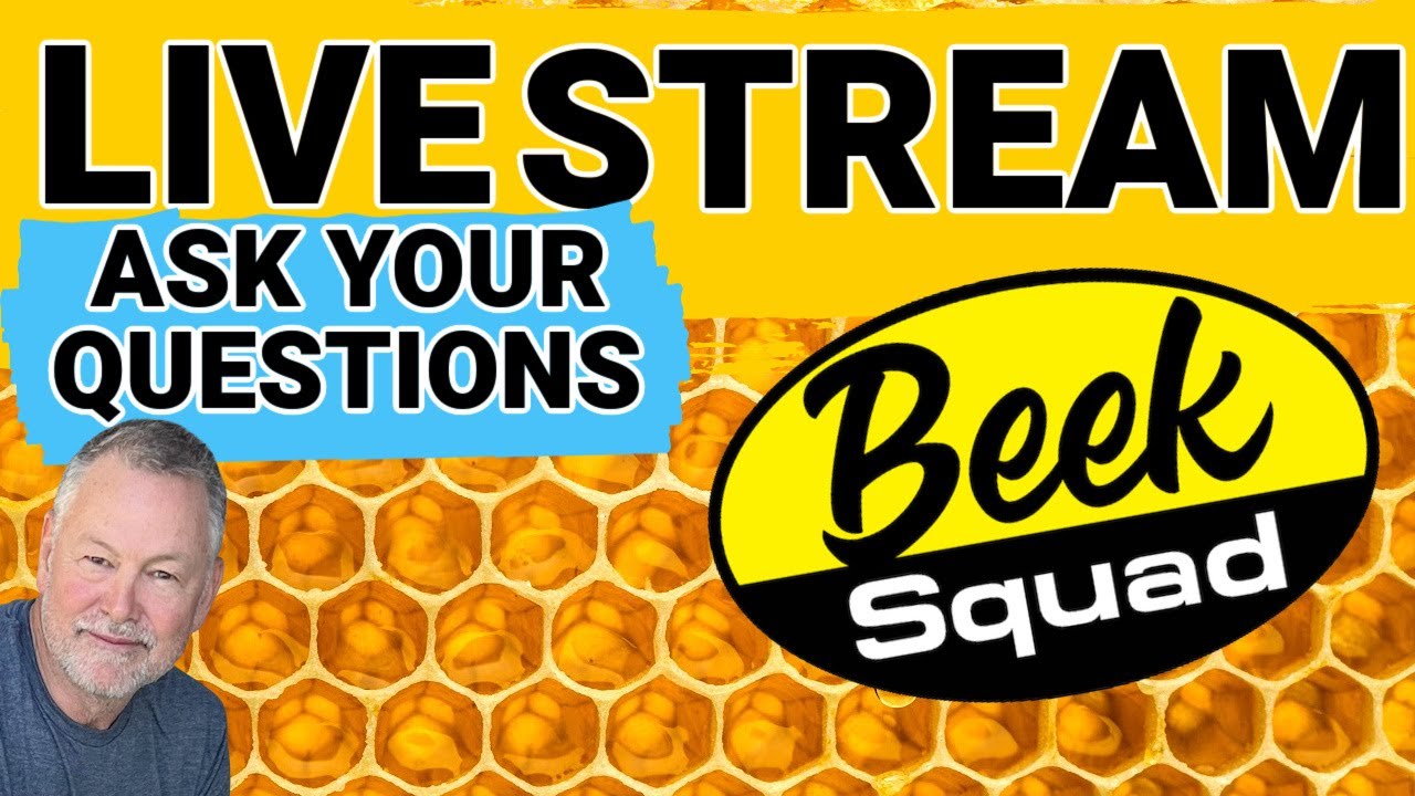 Beekeeping | Livestream Questions & Answers