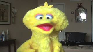 Sesame Street - Big Bird sings &quot;Everyone Makes Mistakes&quot; (60fps)
