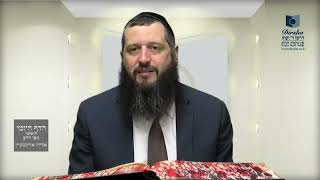 הדף היומי ירושלמי מסכת תרומות דף פב