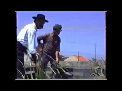 Gr folclore casa povo cacia 16º festival