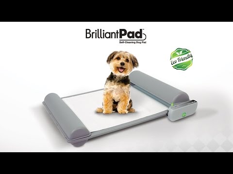 World’s First Self-Cleaning Indoor Potty for Puppies and Small Dog by BrilliantPad