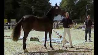 Flashback : Weihegold à 3 ans