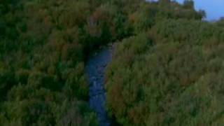 The Go Find - Everybody Knows It's Gonna Happen Only Not Tonight