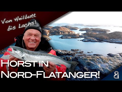 With Horst Hennings for halibut and salmon! Diversity in North Flatanger!