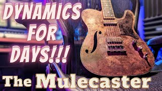 Video thumbnail for Mulecaster goes from -1 to 11 | Amazing Dynamic Range by The Sound Coop